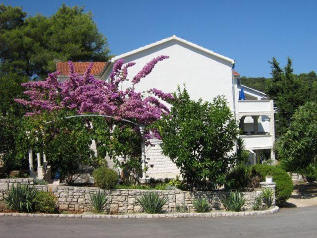Apartments Sarah Medvinjak المظهر الخارجي الصورة